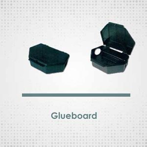 13, İstanbul Böcek İlaçlama / İstanbul Dezenfeksiyon Firması