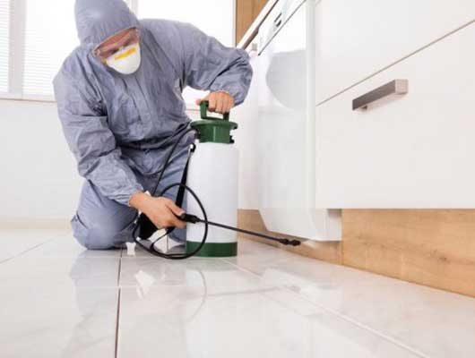 Ev Ilaclama 1 1 1 1 1 1 1 7, İstanbul B&ouml;cek İla&ccedil;lama / İstanbul Dezenfeksiyon Firması